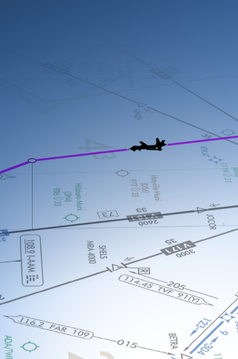 UAS Consulting Services