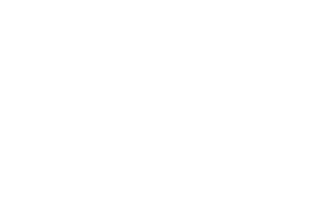North Dakota State University (NDSU) logo
