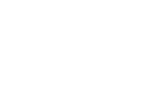 Thales logo