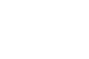 University of North Dakota (UND) logo