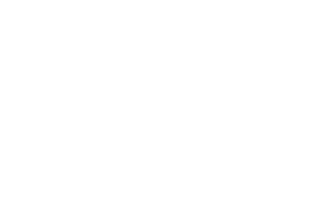 Vantis logo
